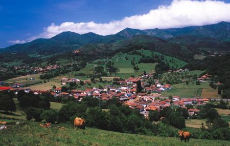 Onís