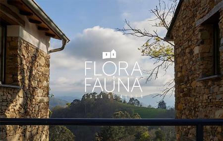 Casa de alfe Flora & Fauna