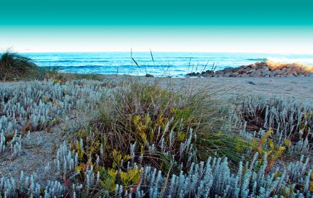 Playa de Foxos en Navia