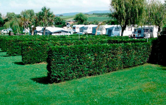 Camping Playa completa