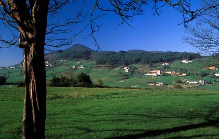 Llanera