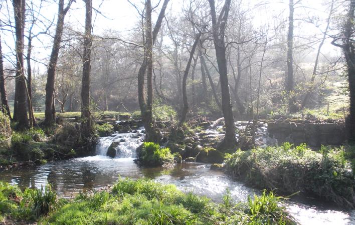 Ir a Imagen Cangas de Onís