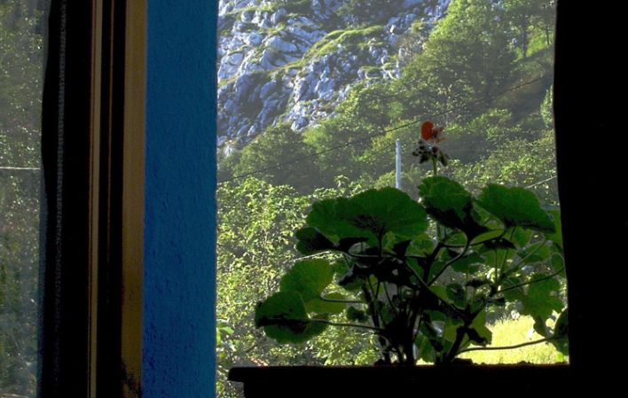 Vivienda vacacional Aguas del Parque de Ponga vistas