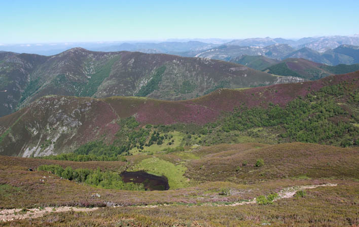 Lago Teixedal