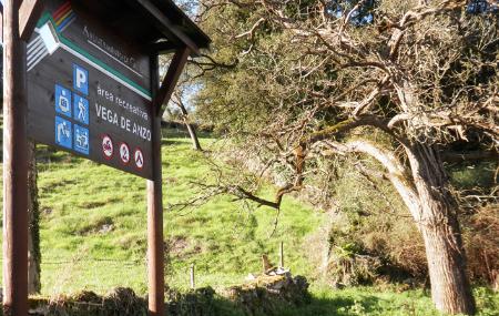 Área recreativa Vega de Anzo
