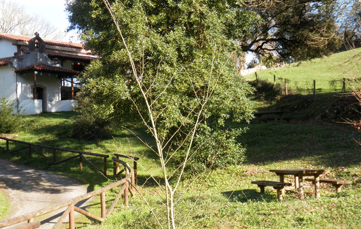 Área recreativa Vega de Anzo