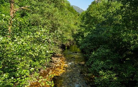 Río Trubia a su paso por Tuñón