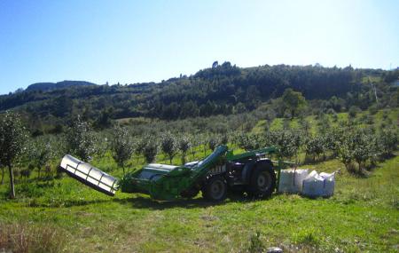 Pomarada Finca La Rionda