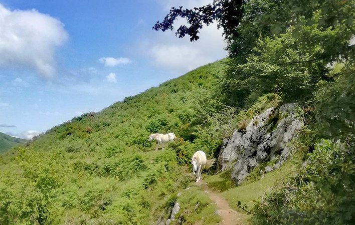 GR109 Etapa 9 Melendreros - Entralgo