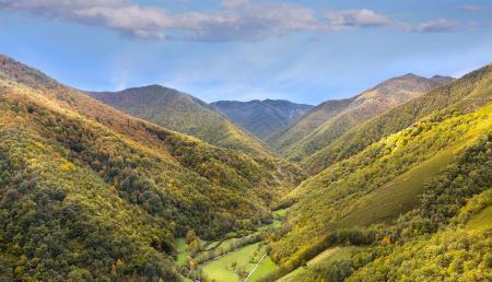 Imagen Naturaleza