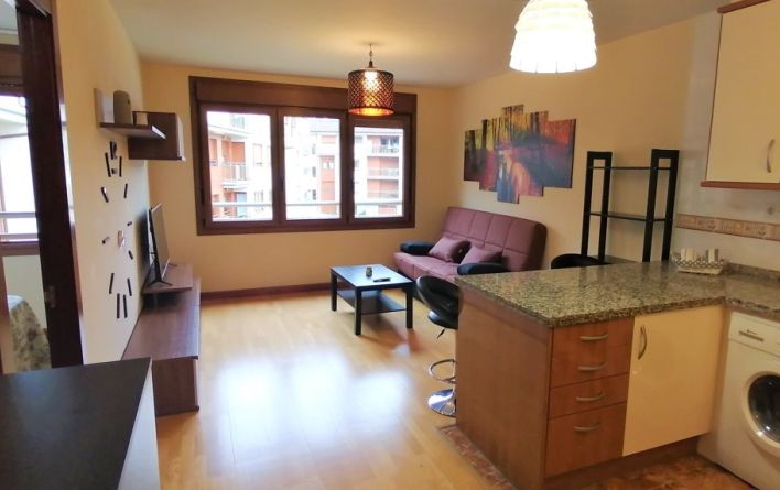 Vivienda de uso turístico Reconquista salón