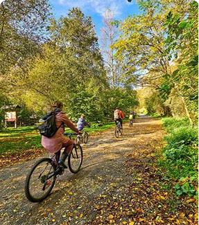 Imagen Ruta de los Parques Naturales